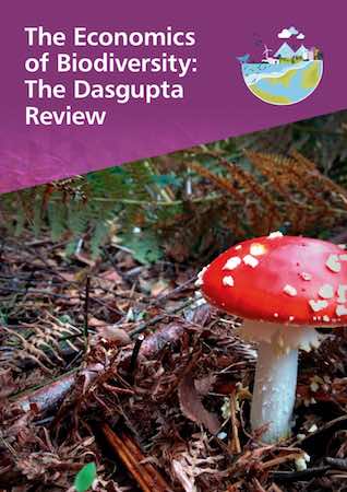 The Economics of Biodiversity: The Dasgupta Review | Dasgupta