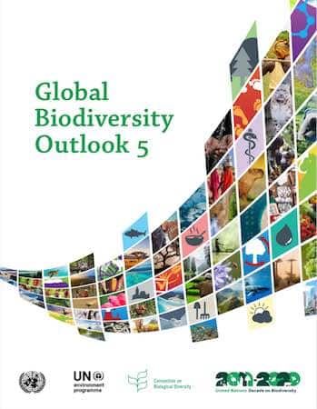 Global Biodiversity Outlook 5 | Secretariat of the Convention on Biological Diversity