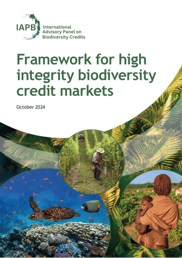 Framework for high integrity biodiversity credit markets | IAPB