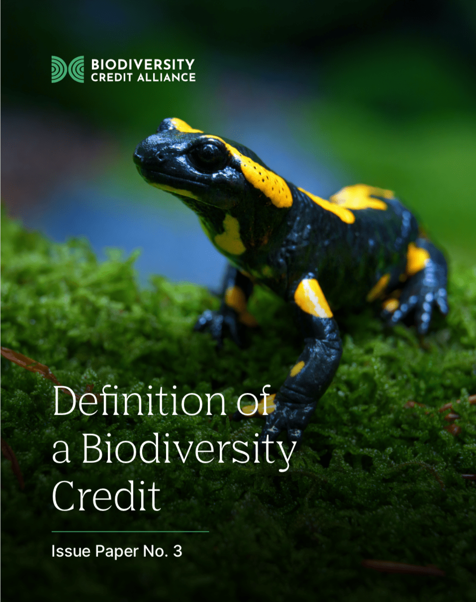 Definition of a Biodiversity Credit | Biodiversity Credit Alliance