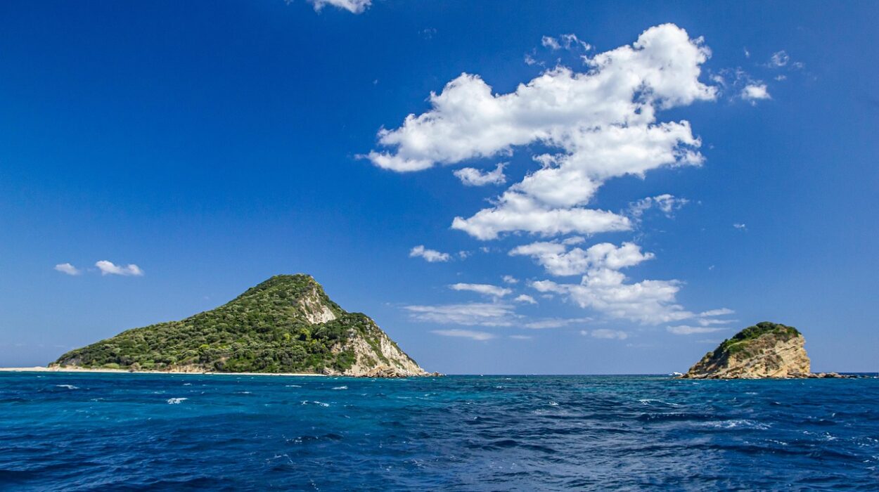 Mediterraneo