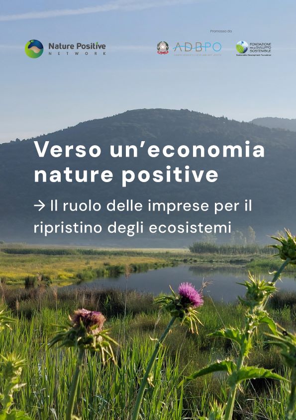 Verso un’economia nature positive. Il ruolo delle imprese per il ripristino degli ecosistemi | Nature Positive Network