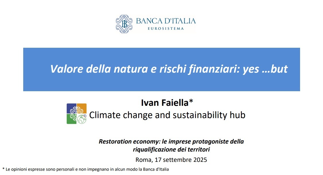 Valore della natura e rischi finanziari yes…but