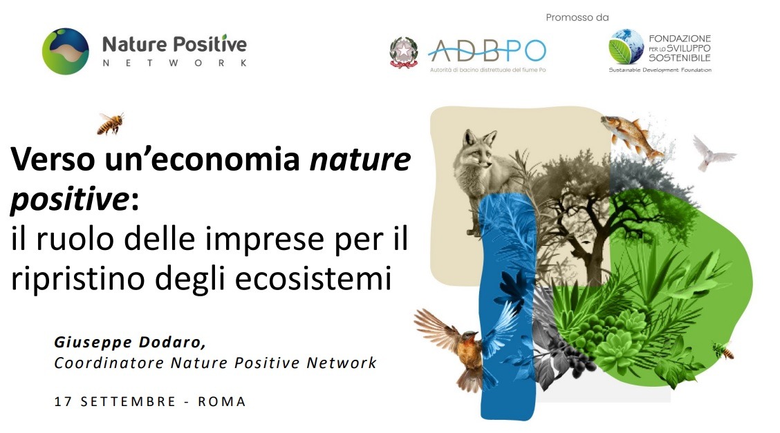 Verso un’economia nature positive: il ruolo delle imprese per il ripristino degli ecosistemi