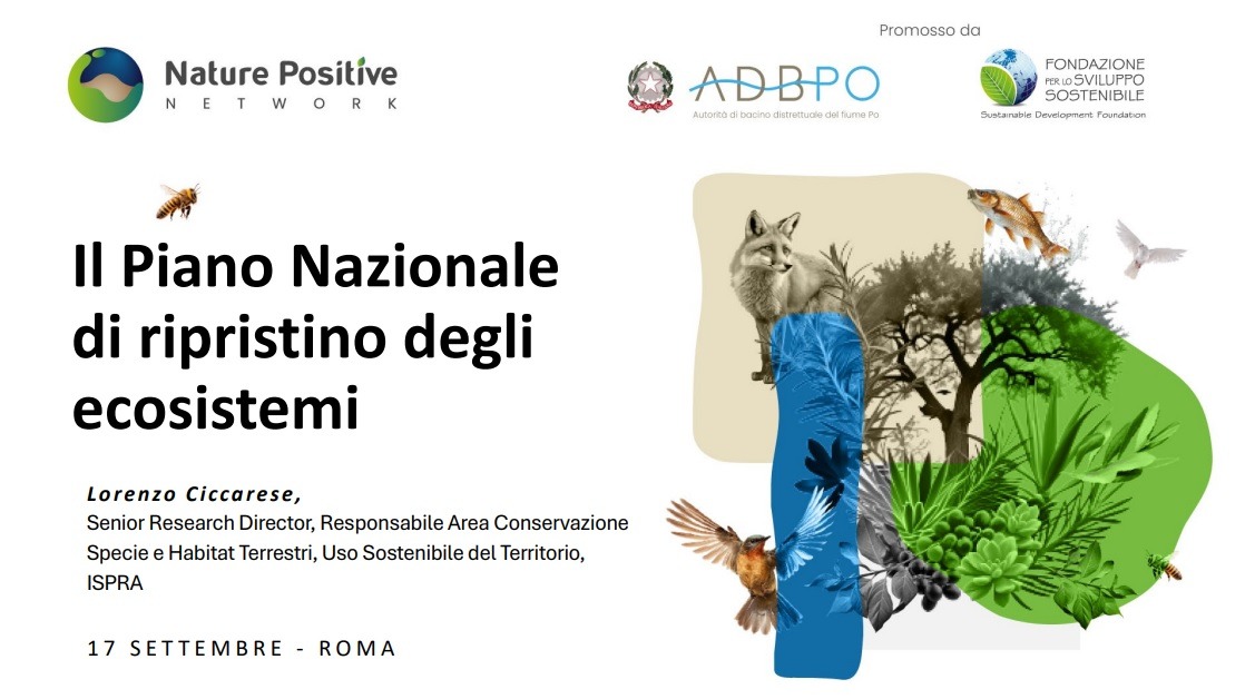 Il Piano Nazionale di ripristino degli ecosistemi