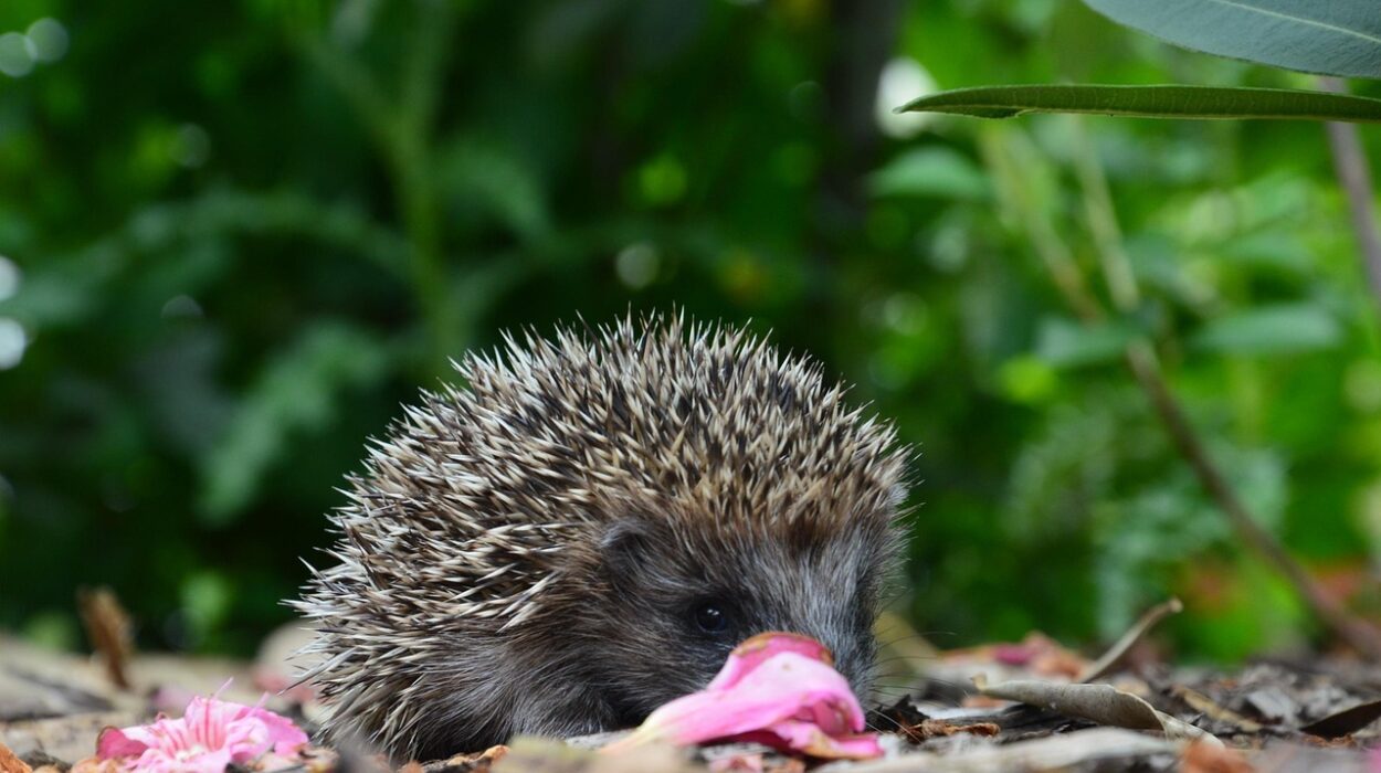 UNI biodiversità