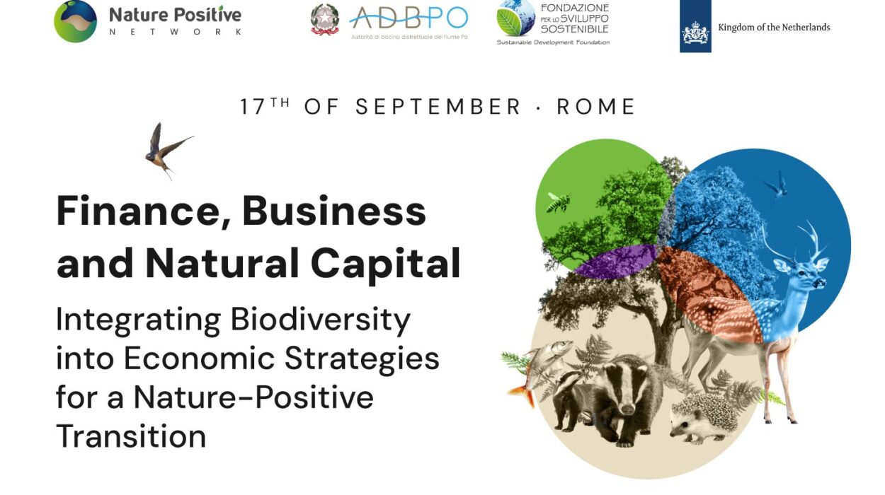 Finance Business and Natural Capital