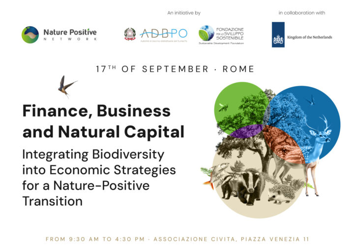 Finance Business and Natural Capital