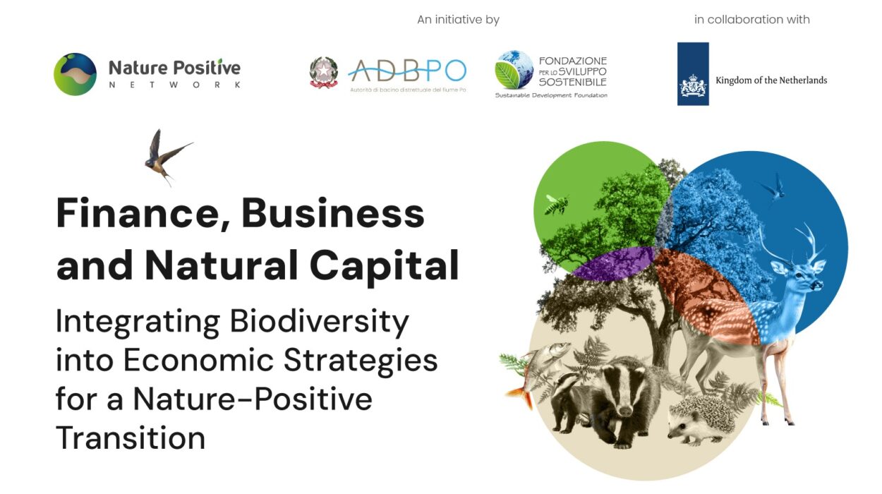 Finance Business and Natural Capital