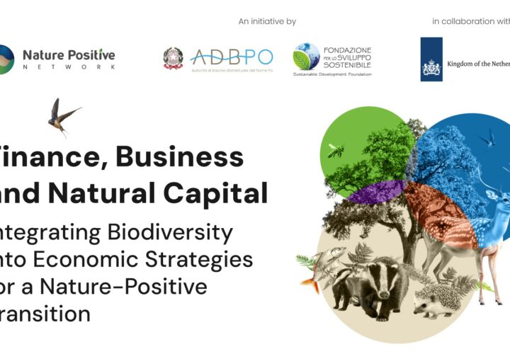 Finance Business and Natural Capital