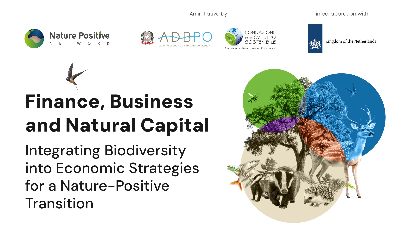 Finance Business and Natural Capital