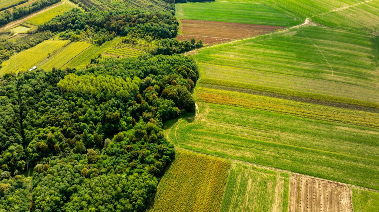 biodiversità agricola