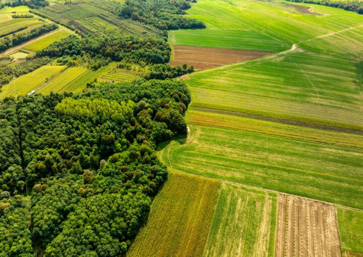 biodiversità agricola