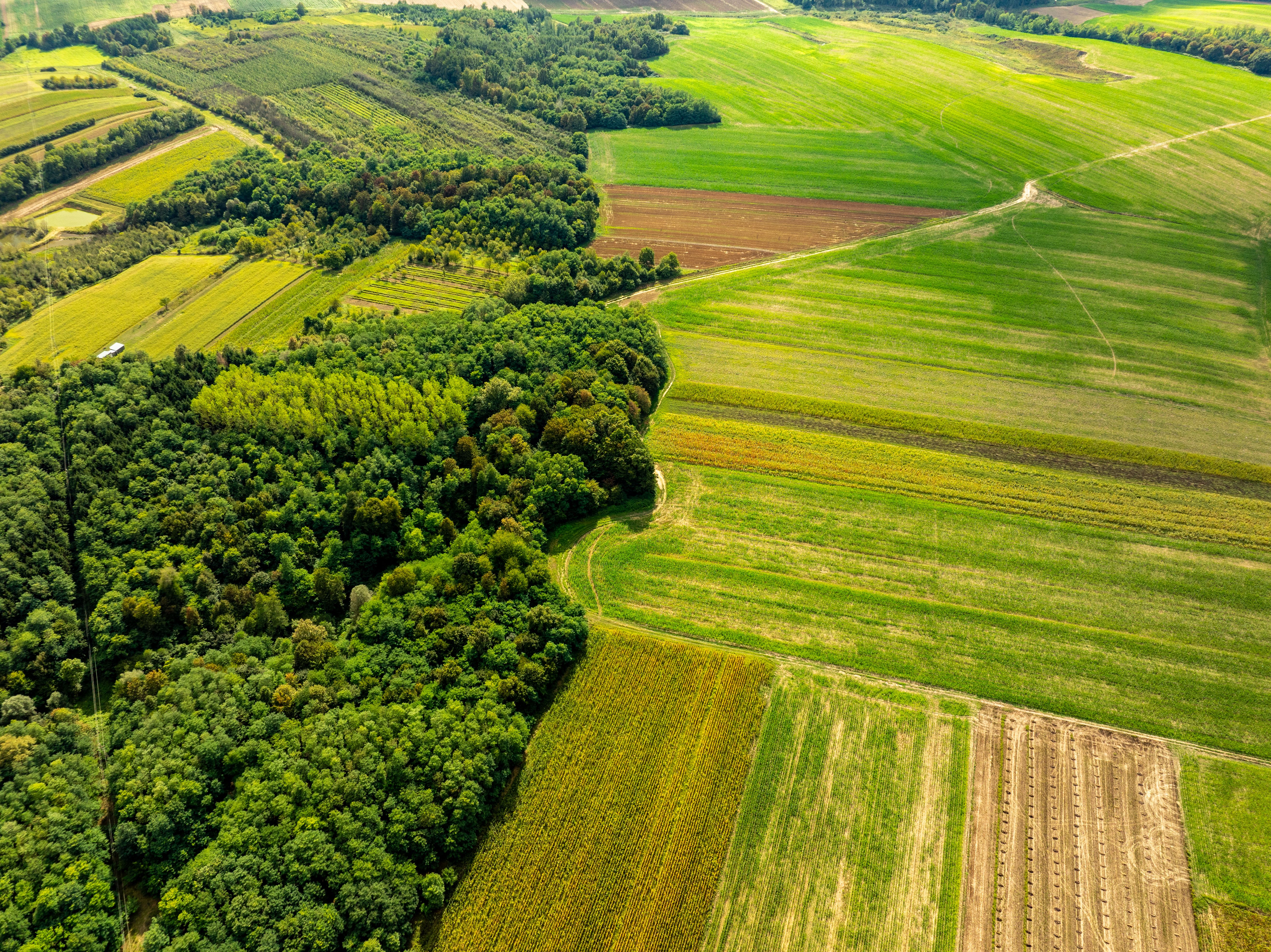biodiversità agricola